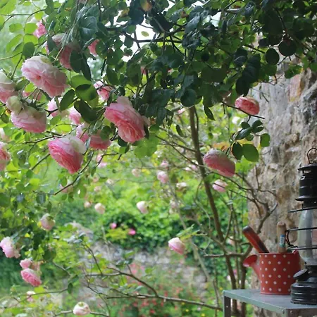 Le Manoir De Panduonec 3* Treverec